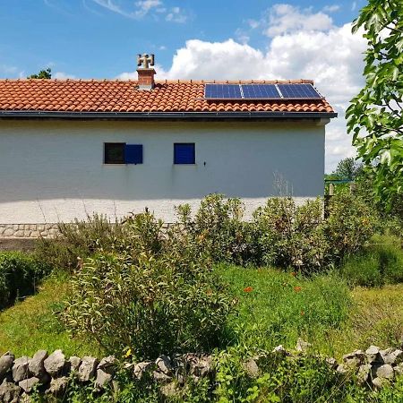 Ecohouse Oliveglia Villa Silo  Bagian luar foto