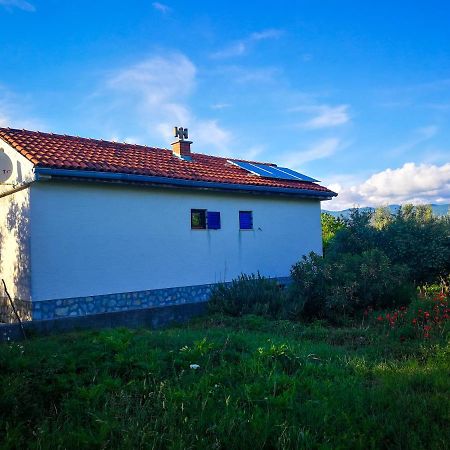 Ecohouse Oliveglia Villa Silo  Bagian luar foto