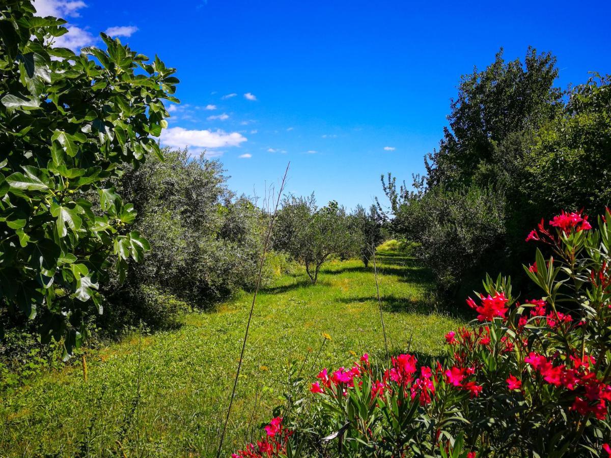 Ecohouse Oliveglia Villa Silo  Bagian luar foto