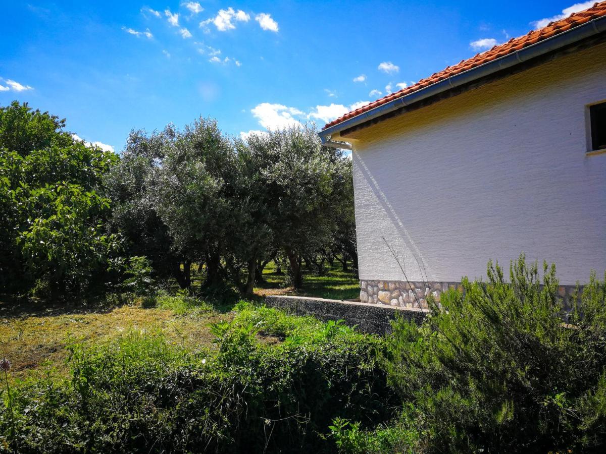 Ecohouse Oliveglia Villa Silo  Bagian luar foto