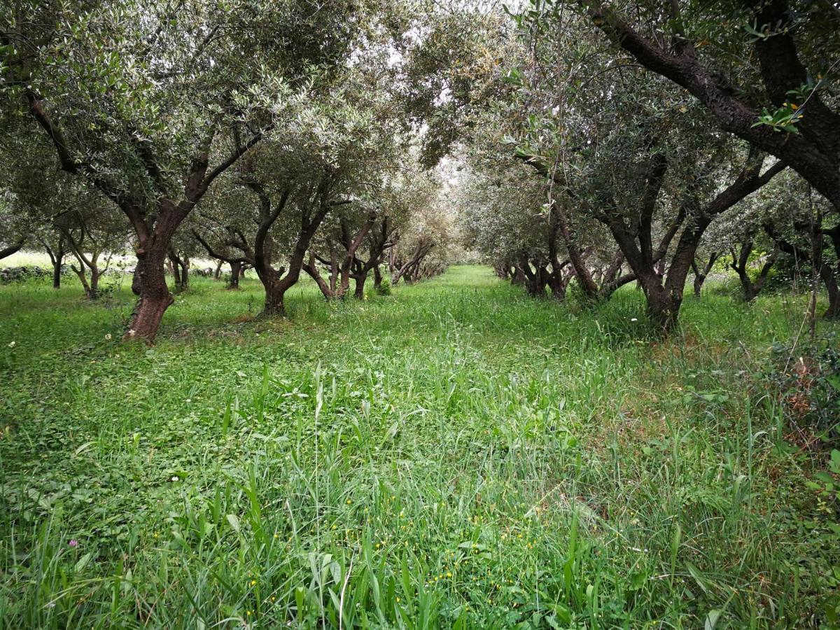 Ecohouse Oliveglia Villa Silo  Bagian luar foto